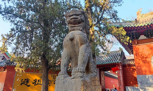 Shaolin-Temple-Dengfeng